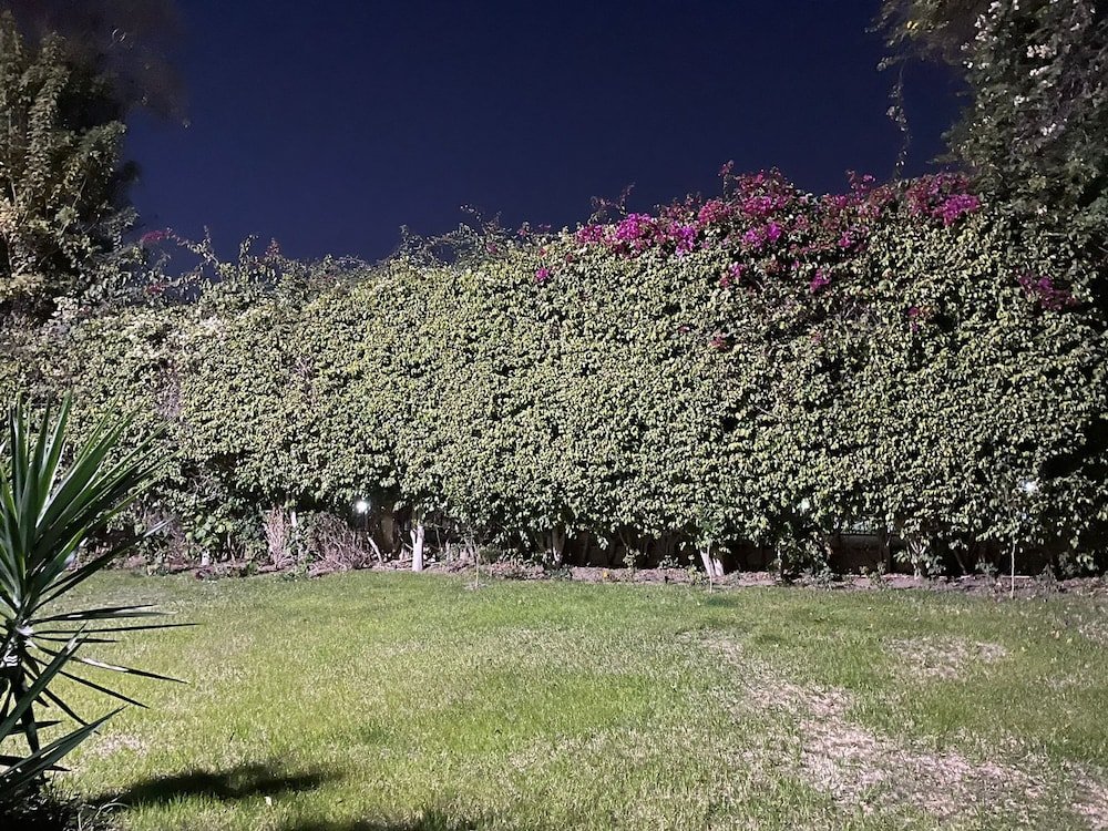Шейх Заед Сити: Beverly hills villa with garden
