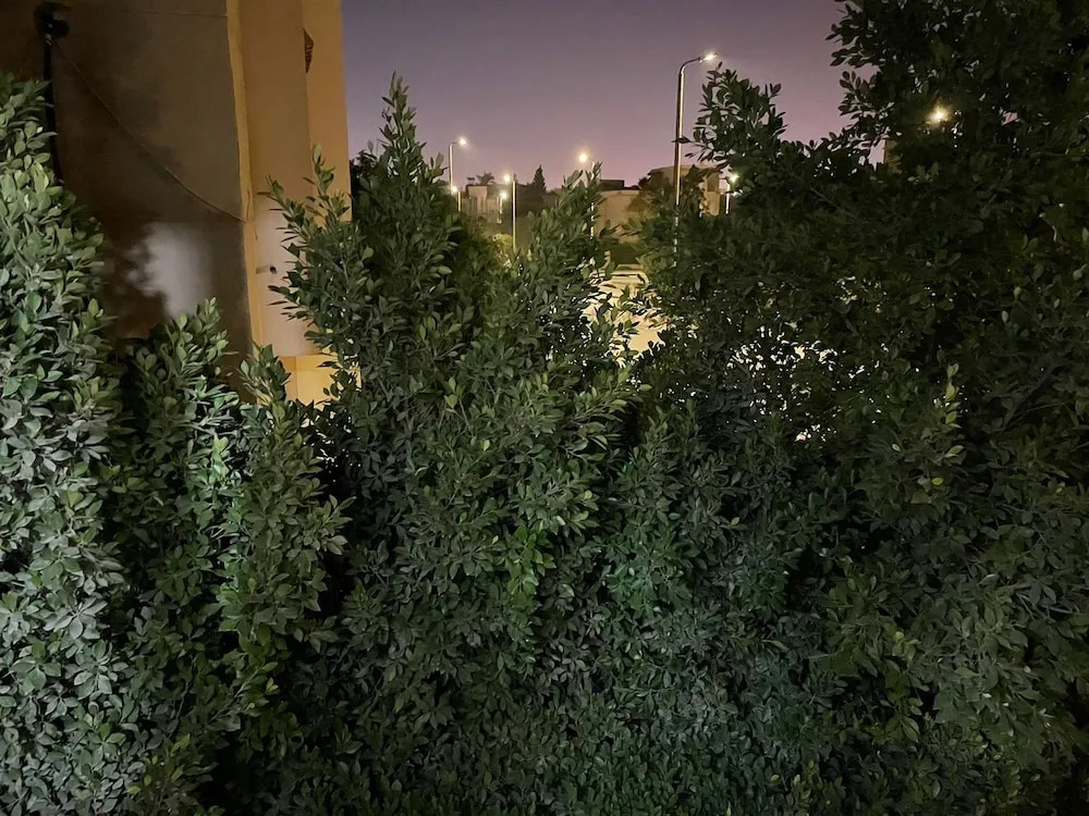 Шейх Заед Сити: Beverly hills villa with garden