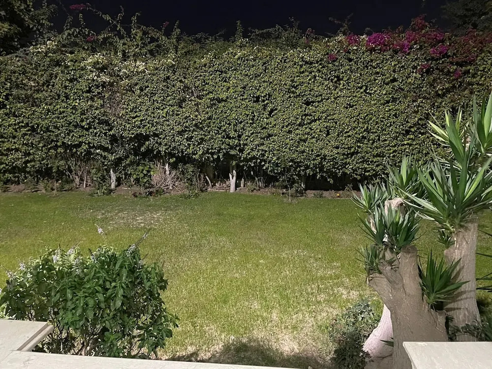 Шейх Заед Сити: Beverly hills villa with garden