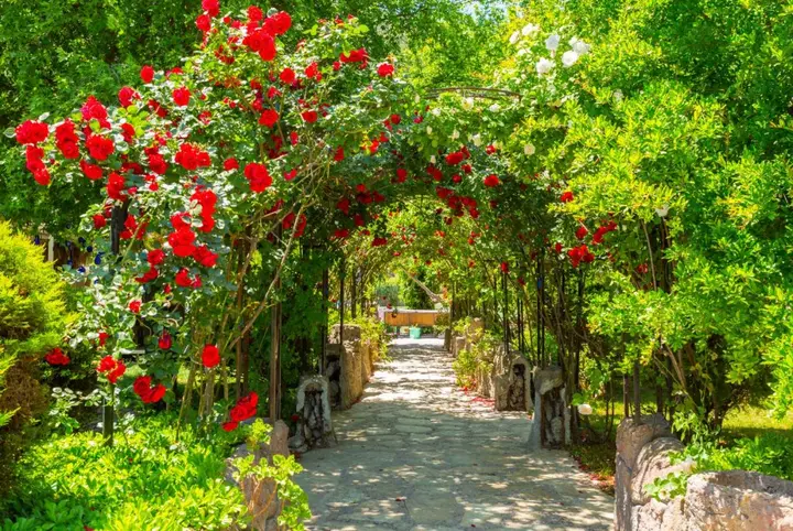 Дальян: Villa Derya Paradise