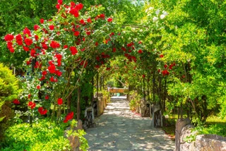 Дальян: Villa Derya Paradise