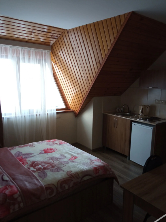 Бакуриани: Hotel Hills