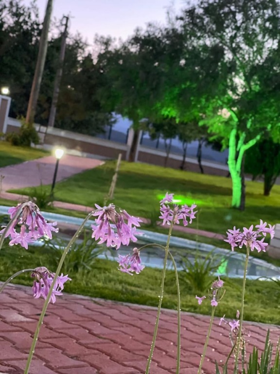 Текирова: Dream Town Hotel & Restaurant