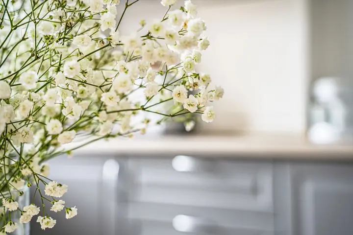 Зеленоградск: Апартаменты Amber Holiday