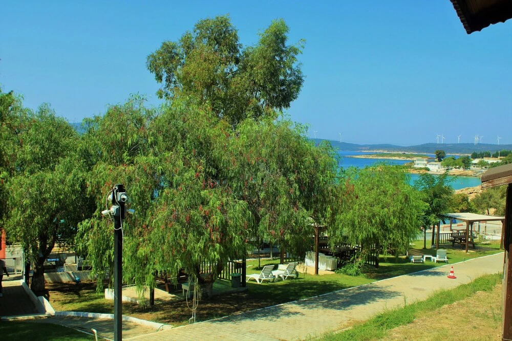 Сыгаджик: Akkum Beach Otel
