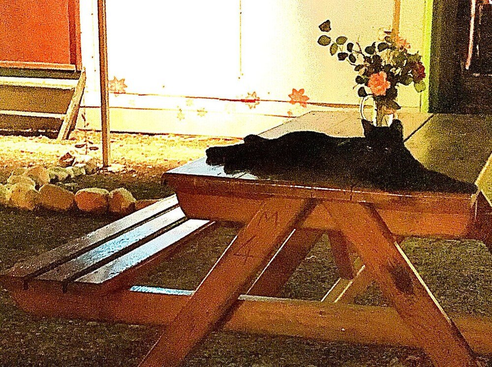 Кумлуджа: Gaia Bungalow