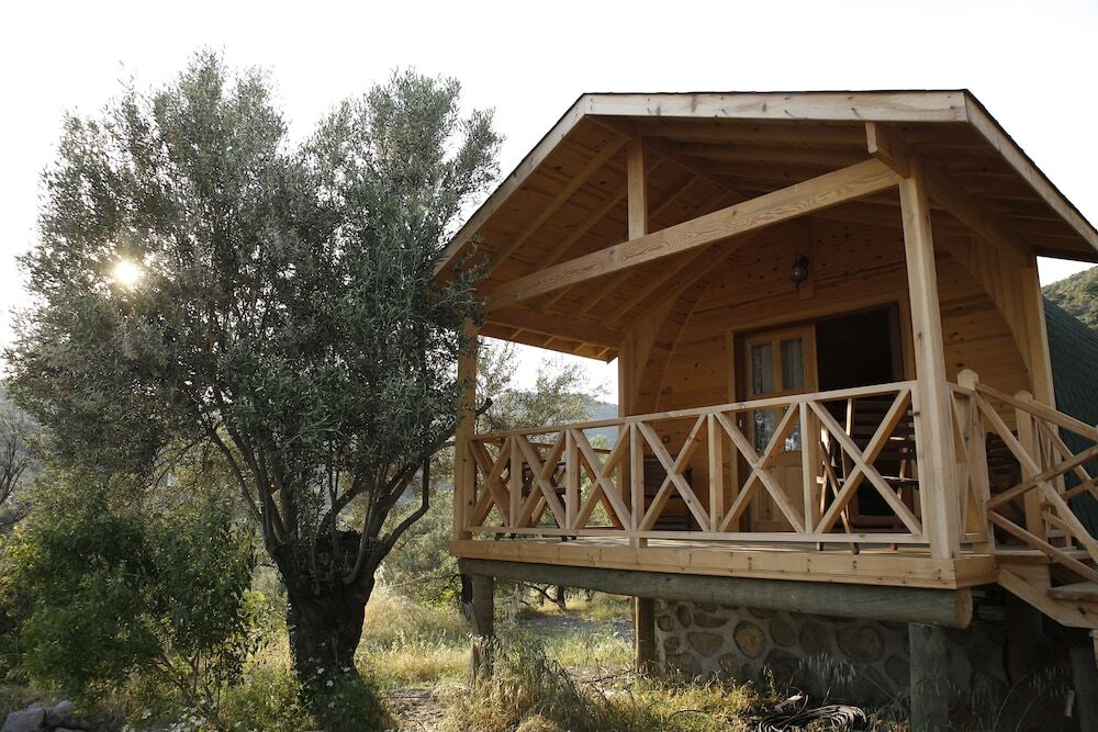 Алтынолук: Kazdagları Saglikli Yasam Tatil Koyu