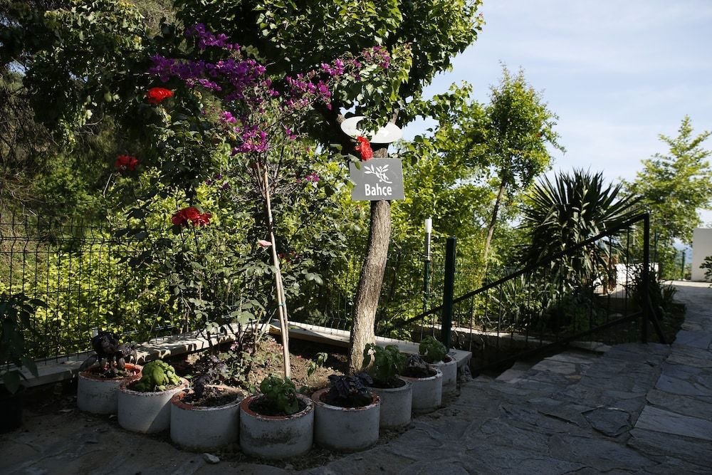 Алтынолук: Kazdagları Saglikli Yasam Tatil Koyu
