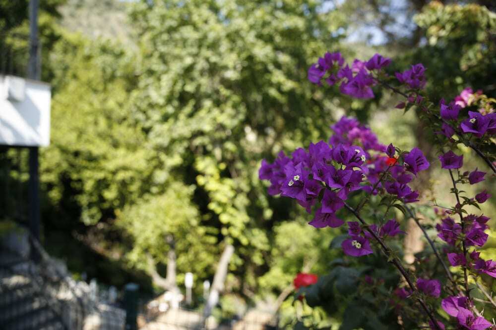 Алтынолук: Kazdagları Saglikli Yasam Tatil Koyu
