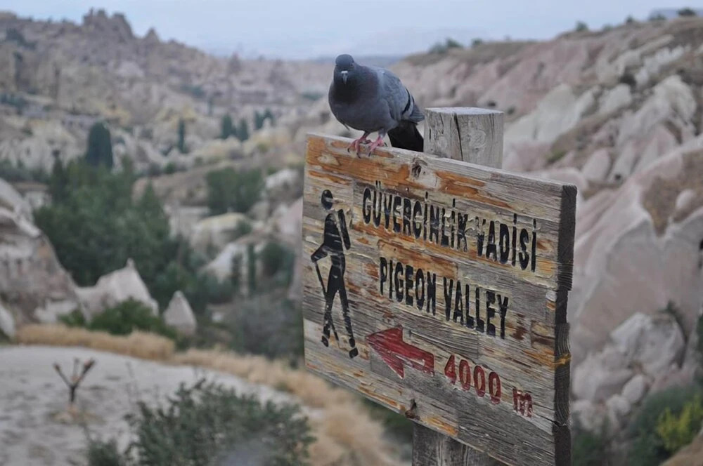 Учисар: Lava Cappadocia