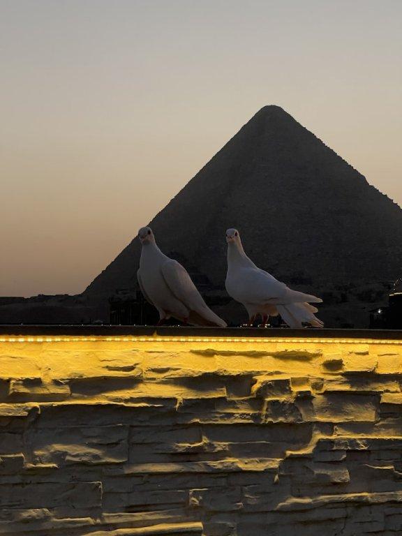 Гиза: Pyramids top success result
