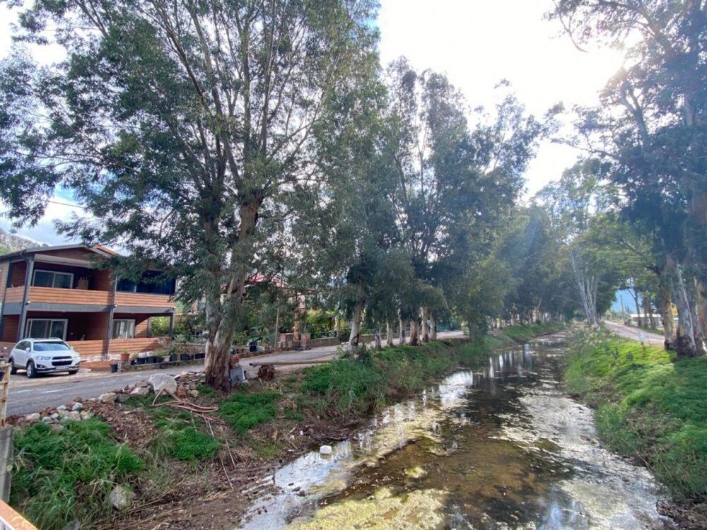 Мармарис: Lovely Riverside Apartment Surrounded by Nature in Marmaris