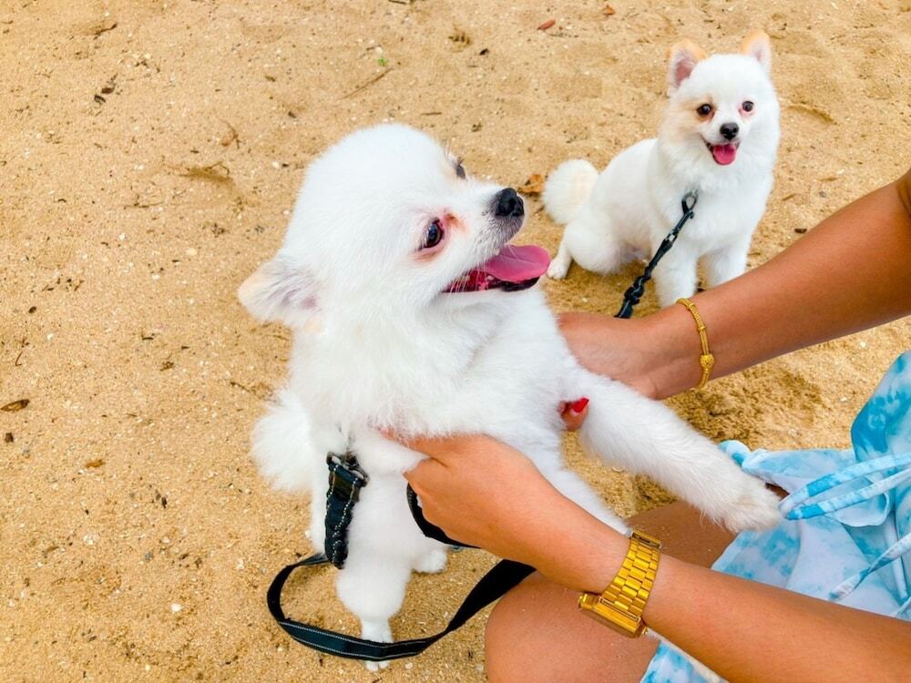 Ханом: Margarita Beach