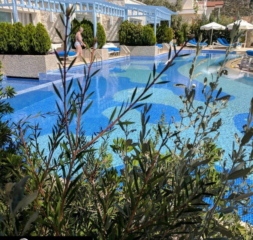 Калкан: Kalkan Asfiya