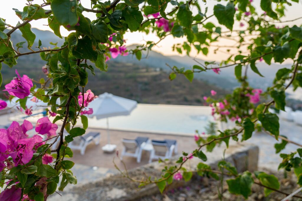 Селимийе: Selimiye Lime Garden Otel