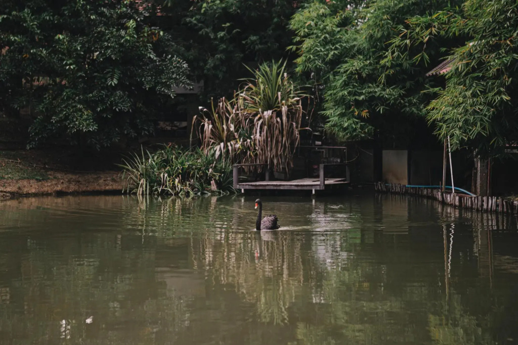 Маерим: U Maerim Chiangmai