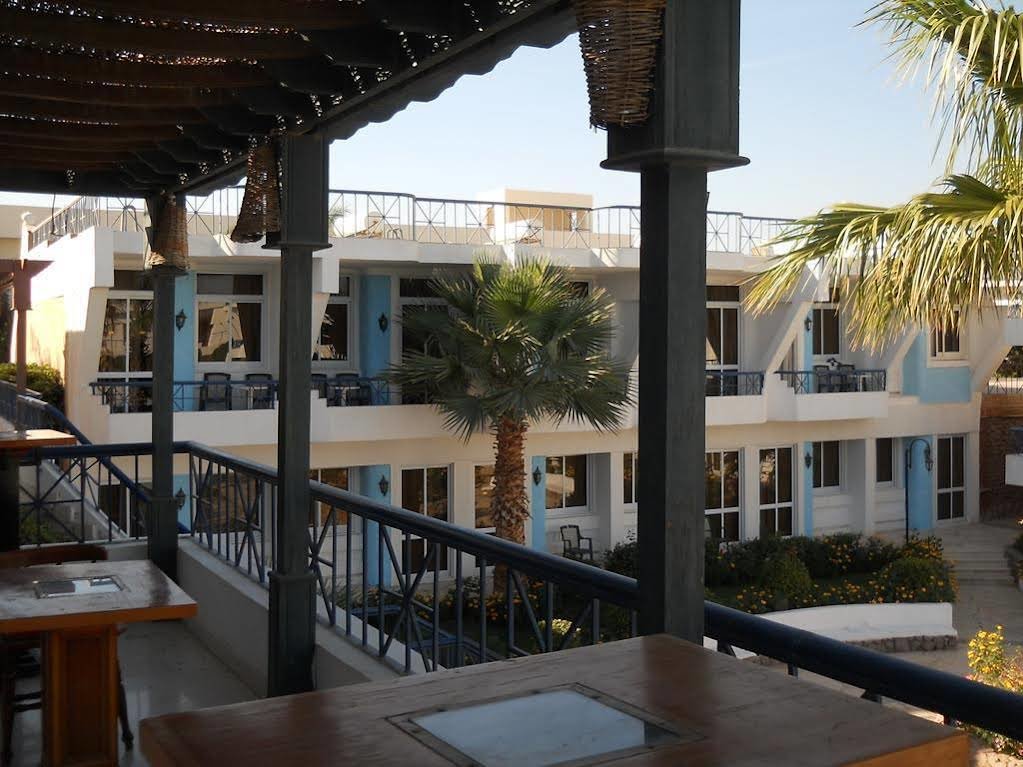 Шарм-эш-Шейх (Шарм-эль-Шейх): Regency Sharm Hotel