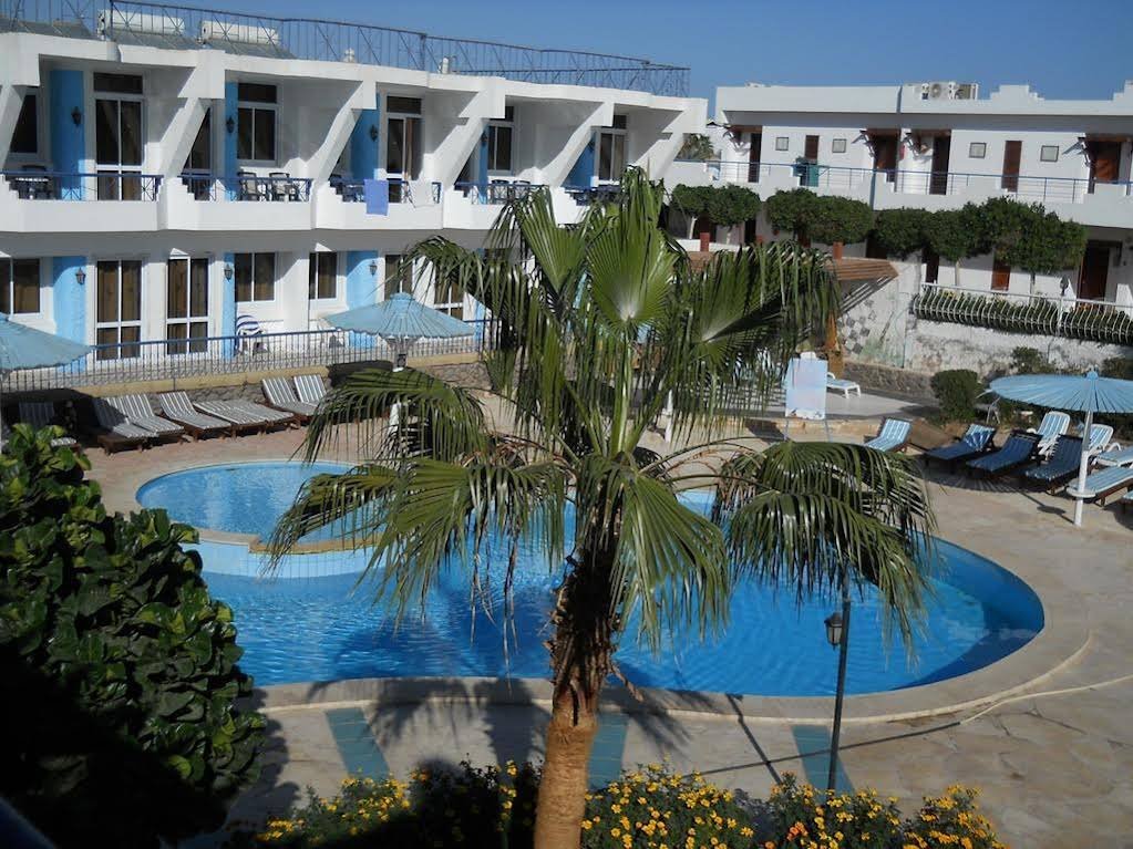 Шарм-эш-Шейх (Шарм-эль-Шейх): Regency Sharm Hotel