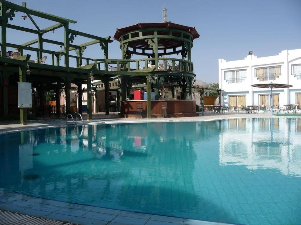 Шарм-эш-Шейх (Шарм-эль-Шейх): Regency Sharm Hotel