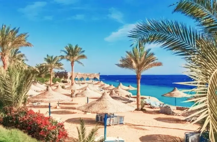 Шарм-эш-Шейх (Шарм-эль-Шейх): Sharm Hills Resort
