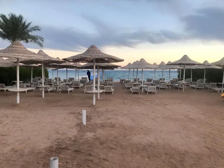 Шарм-эш-Шейх (Шарм-эль-Шейх): Sharm Hills Resort