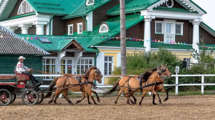 Усадьба Кописки "Богдарня" — фото 4