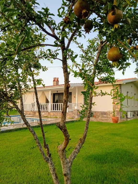 Дальян: Villa in a Pomagranate Orchard