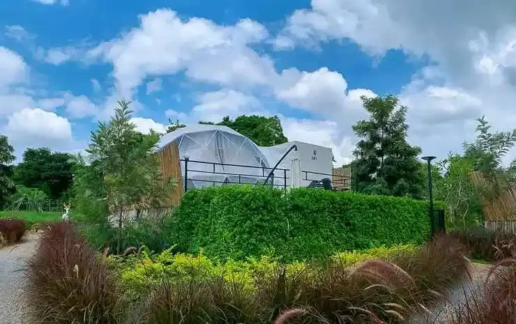 Пак-Чонг: Glamping Hill Khaoyai
