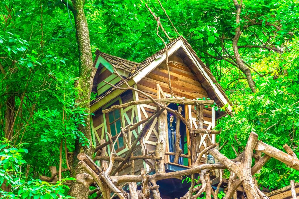 Пак-Чонг: Glamping Hill Khaoyai