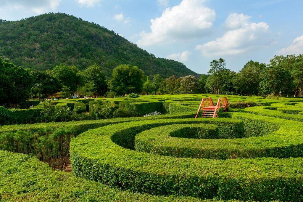 Пак-Чонг: Glamping Hill Khaoyai