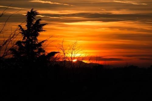 Кутаиси: Хостел Dingo Backpackers