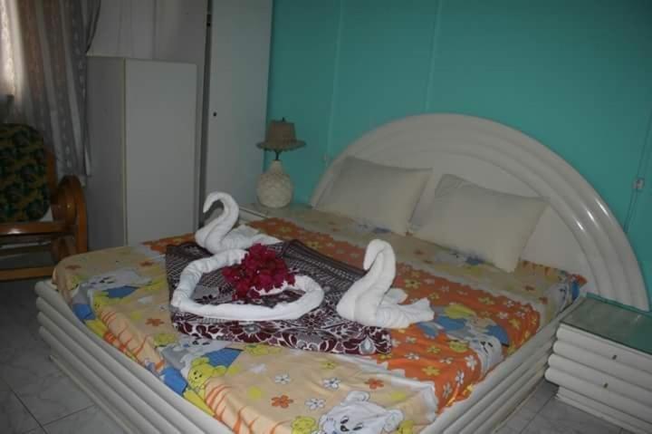 Нувейба: New Saraya Camp