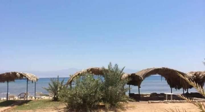 Нувейба: New Saraya Camp