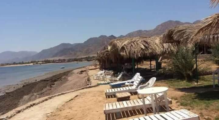 Нувейба: New Saraya Camp