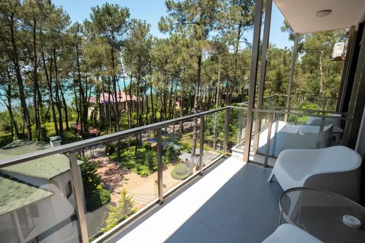 Шекветили: Buxus Hotel Shekvetili
