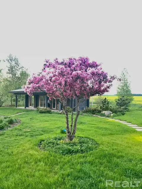 Вилла Чики — фото 3