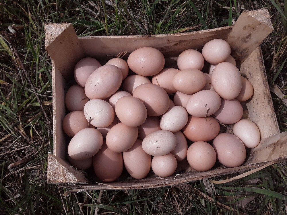 Анамур: MayaLuna Ecolodge