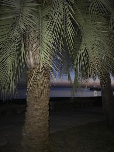 Гагра: Guest house Chetyre Sezona