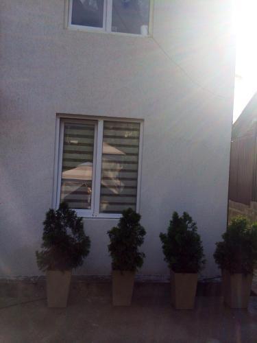Гагра: Guest house Chetyre Sezona
