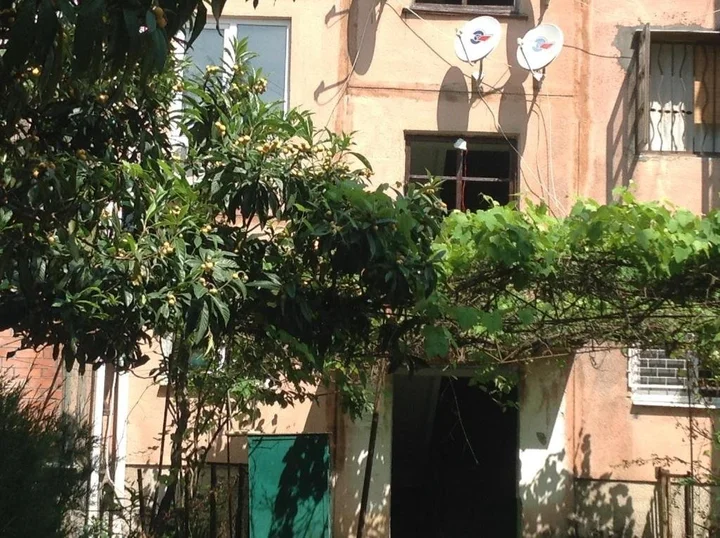 Пицунда: Apartment in Pizunda