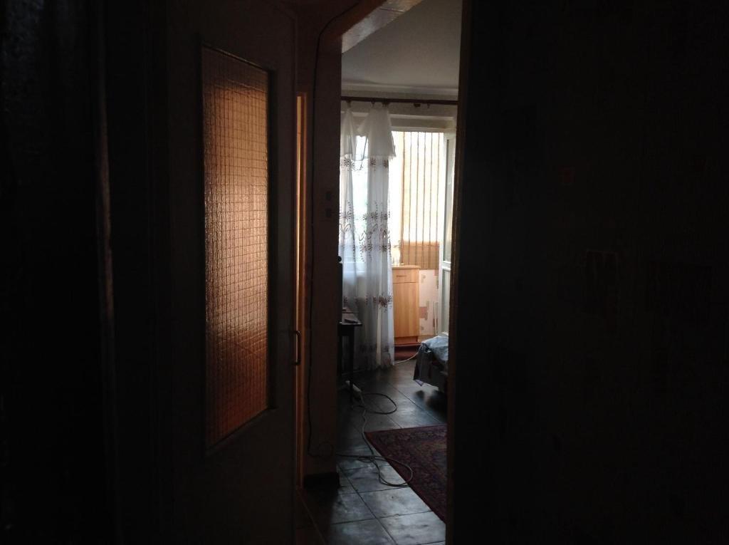 Пицунда: Apartment in Pizunda
