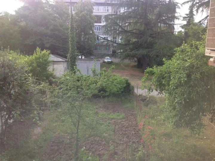 Пицунда: Apartment in Pizunda