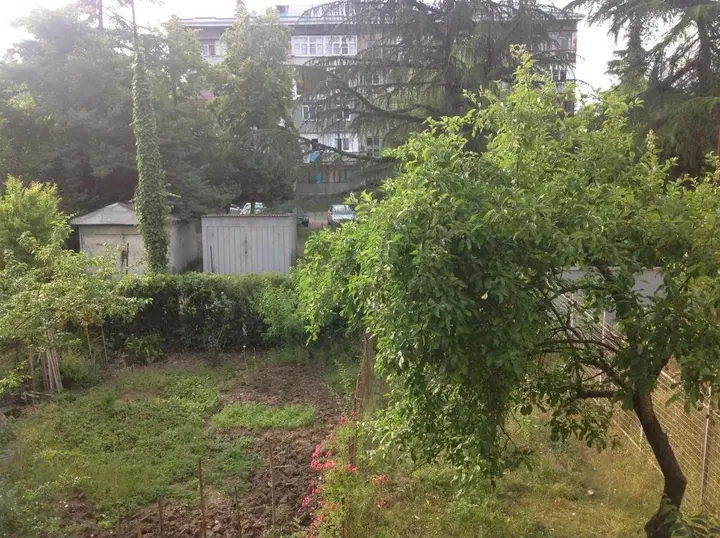 Пицунда: Apartment in Pizunda