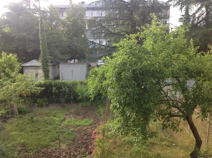 Пицунда: Apartment in Pizunda