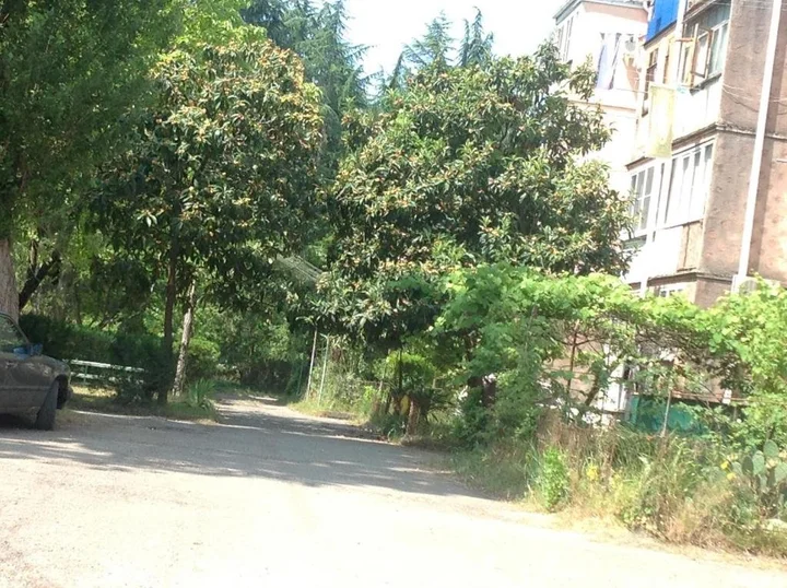 Пицунда: Apartment in Pizunda
