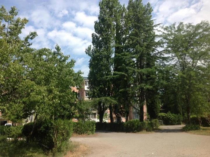 Пицунда: Apartment in Pizunda