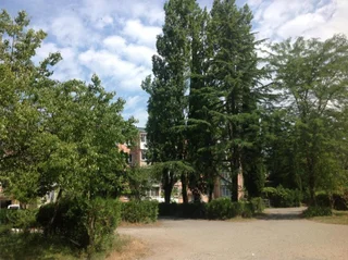 Пицунда: Apartment in Pizunda