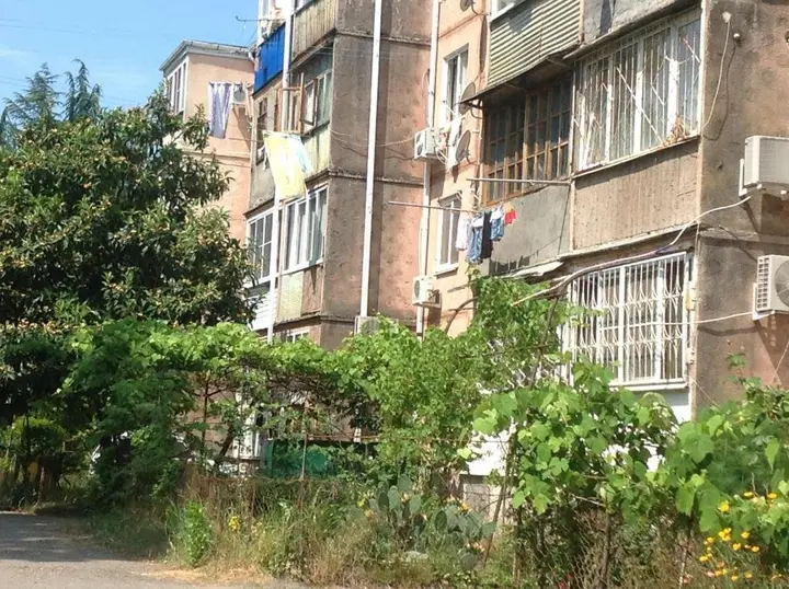 Пицунда: Apartment in Pizunda