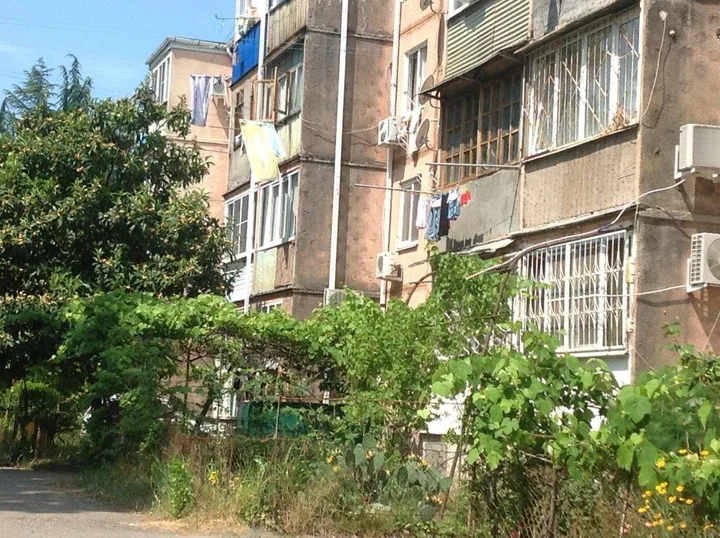 Пицунда: Apartment in Pizunda