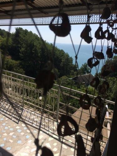 Багрипш: Guest house u Mishy